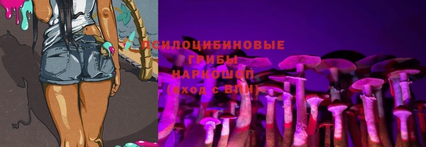 молекула духа Беломорск