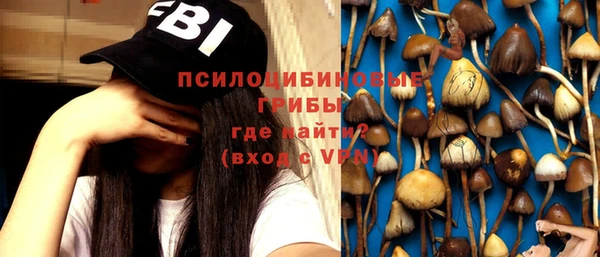 молекула духа Беломорск